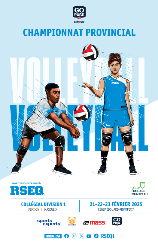 Championnat provincial de volleyball collégial D1